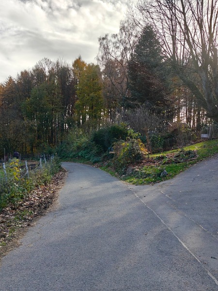 Weggabelung als Symbol für Entscheidung und Neuausrichtung